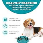 Outward Hound Fun Feeder Slo Bowl, Slow Feeder Dog Bowl, Medium/Mini, Turquoise - Image 2