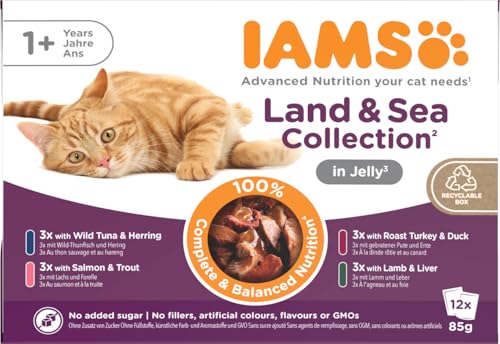 IAMS Delights Land & Sea Collection Katzenfutter Nass - Multipack mit Fleisch und Fisch Sorten in Gelee, Nassfutter für Katzen ab 1 Jahr, 12 x 85 g (Die Verpackung kann variieren )