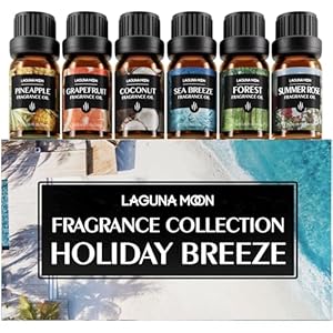 Fragrance Essential Oil – 6pc Holiday Breeze Scent Gift Set – Perfect for Candle Making, Soap Scents, Slime – Oils for Diffuser, Humidifier, Aromatherapy, Aroma Beads, Car Freshener (10mL)