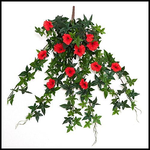 Windowbox 26in. Morning Glory Vine, Outdoor Rated - Red