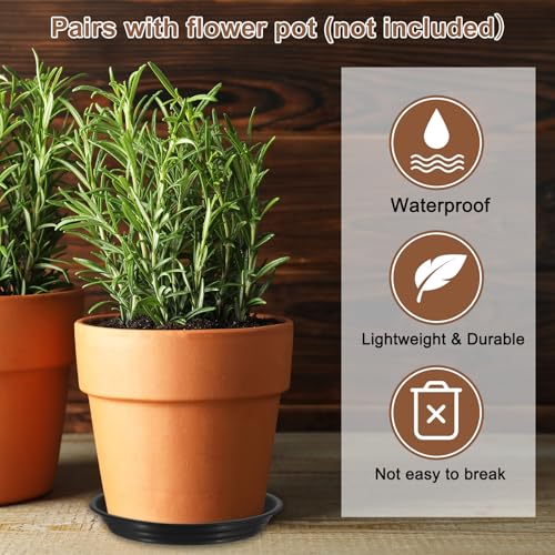 Soucoupe pour pot de fleurs plastique robuste blanc perle 24 - 6