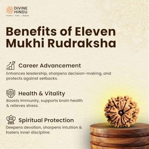 Image of Divine Hindu Original 11 Mukhi (Eleven Face) Indonesia Rudraksha | Ekadash Mukhi Rudraksh Bead for Meditation & Spiritual Growth | Natural Rudraksha for Men & Women | Prayer Bead for Success, Peace