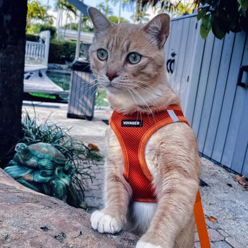 Image of Voyager Step-in Pet Harness - All Weather Mesh, Adjustable Step in Harness for Cats and Dogs by Best Pet Supplies - 307S Orange, M