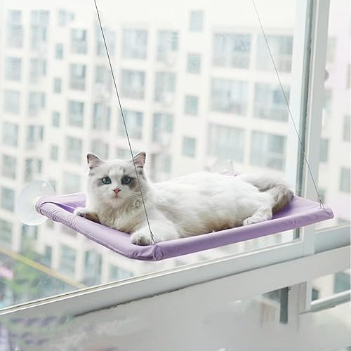 LKJYBG Hamaca para ventana de gato, hamaca para mascotas, con 4 ventosas que llevan 40 libras, extraíble, lavable, para colgar, color morado