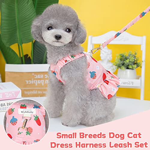 Petpubgnzs Small Dog Dress Harness And Leash Set Cute Princess Birthday Dog Dresses Soft Fruit Print Puppy Dresses Girl Dog Clothes For Small Dogs Cats Chihuahua Yorkie Shih Tzu (Pink Strawberry,Xl) #TOP2