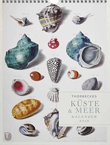 Thorbeckes Küste und Meer Kalender 2019