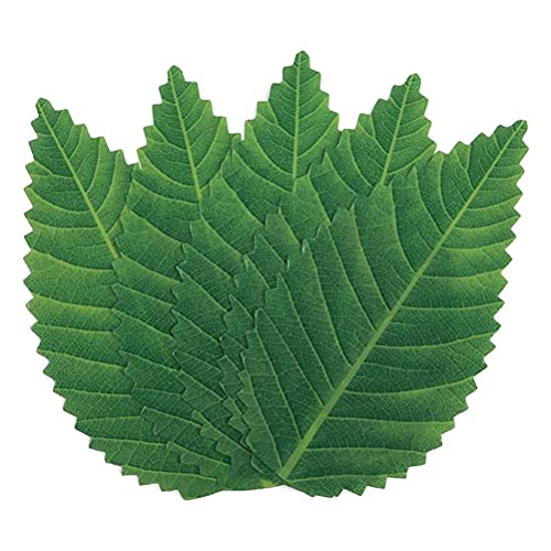 Chiyyak Kochen Sushi Grünes Blatt Kalt Geschnittenes Plastiksimulationsdekorationsblatt Japanische Sashimi-meeresfrüchte Dekoration