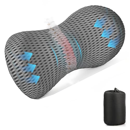 Lumbar Support Pillow Back Cushion for Office Chair Car Driving Seat & Plane, Memory Foam Travel Pillow for Back Pain, Ergonomic with Removable 4D Mesh Cover & Portable Bag for Resting Sleeping, Grey