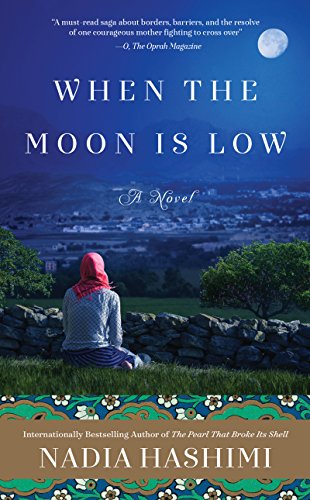 When the Moon Is Low: A Heart-Wrenching Novel of Survival and Family Separation During War in Afghanistan