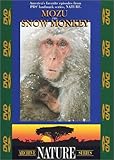 Photo Gallery mozu: the snow monkey
