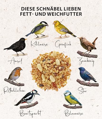 Dehner Natura Premium Wildvogelfutter, Fettfutter / Weichfutter, Ganzjahresfutter artgerecht / kraftspendend , hochwertiges Vogelfutter für Wildvögel, 5 kg – Bild 5