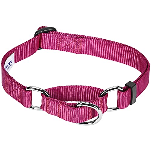Blueberry Pet Essentials Martingale Safety Training Dog Collar, Very Berry, Small, Heavy Duty Nylon Adjustable Collars for Dogs