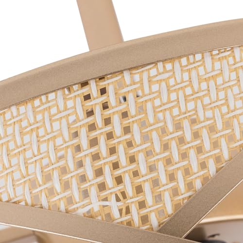 LOYALHEARTDY-Gold-Fandelier-Ceiling-Fan-18in-6-Speed-Enclosed-Caged-Ceiling-Fan-with-Lights-Remote-Control-Antique-Gold-Ceiling-Fan-Boho-Rattan-Caged-Ceiling-Fan-Light-Downrod-Mount-URF4I86GRFI8W