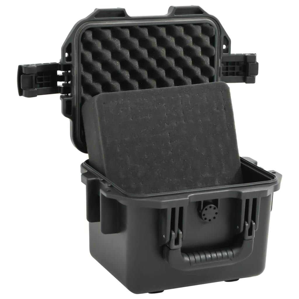 Valise de Vol Portable Noir 30x24,5x20 cm PP Mallette Rigide Boîte de Rangement avec Inserts en Mousse Amovibles, étui de Transport Valise de Protection