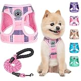 BEAUTYZOO Small Dog Harness and Leash Set,Step in No Chock No Pull Soft Mesh Dog Harnesses Reflectiv