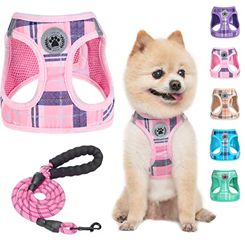 BEAUTYZOO Small Dog Harness and Leash Set,Step in No Choke No Pull Soft Mesh Dog Harnesses Reflective for Extra-Small Medium Puppy Dogs and Cats, Plaid Dog Vest Harness for XS S Pets, Pink S