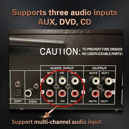 Ecualizador gráfico profesional de 31 bandas, ecualizador estéreo digital de audio con pantalla dinámica de espectro y reducción de ruido miniatura 3