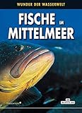Fische im Mittelmeer: Wunder der Wasserwelt (PiBoox Maris)