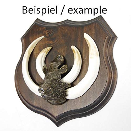 Adorno de cabeza de cuña para armas fuertes trofeos jabalíes – grande –