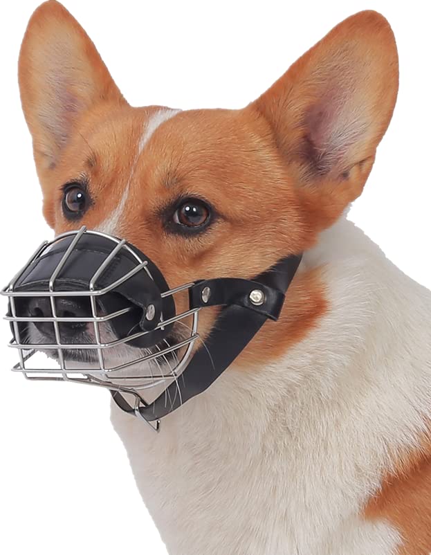 Amazon | MUYYIKA 犬の口輪 犬用メッシュマズル 拾い食い 無駄吠え