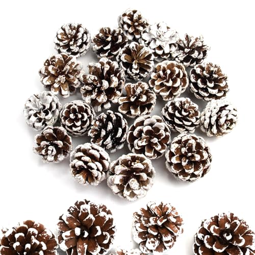 GZGXKJ 32 Stück Mini Weihnachten Tannenzapfen Natürliche...
