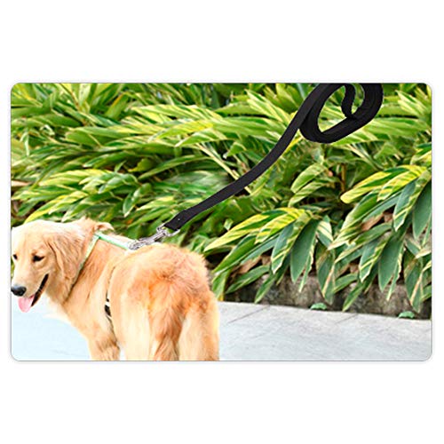 Nishore Cão/Filhote de cachorro Obediência Recall Treinamento Agilidade Chumbo Dog Training Leash 6m