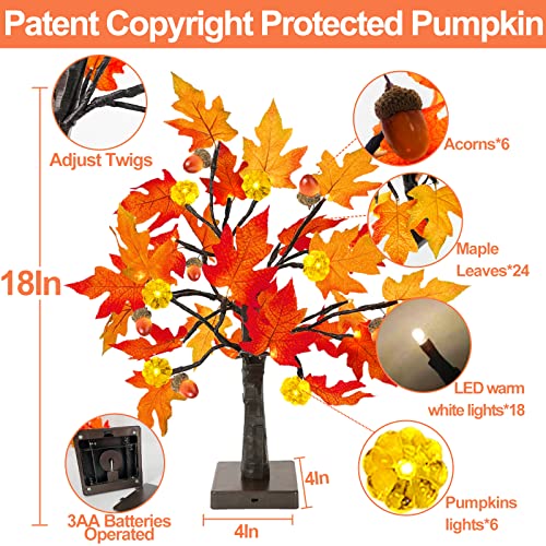 Turnmeon 2 Pack 18 Inch Prelit Fall Maple Tree With 48 Leds Timer Battery Operated Lighted Pumpkins 6 Acorns Tabletop Artificial Autumn Fall Tree For Thanksgiving Fall Harvest Home Indoor #TOP2