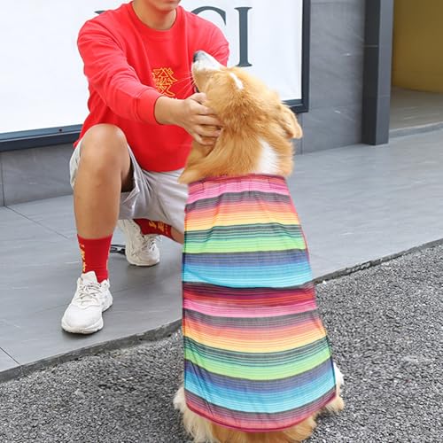 Disfraz Poncho Mexicano Multicolor para Perro Pequeño miniatura 6