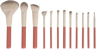 Set med Sminkborstar, Sminkborstar 12 Delar Borst Makeup Set Blush Concealer Ögonskuggsborstar Sminkborstar Foundationpensel, ögonskuggsborste(Without bag)