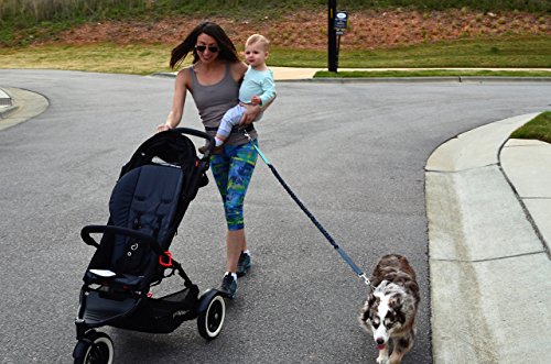 Black Rhino - Premium Hands Free Dog Leash For Running Walking Jogging & Hiking - Adjustable Length Dual Handle Bungee Leash Medium – Large Dogs Neoprene Padded Handles - Running Pouch Included Aqua #TOP3