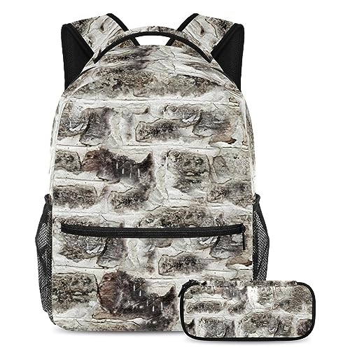 Sac à dos motif craquelé lot de 2 avec trousse pour l'école et voyage des étudiants multicolore