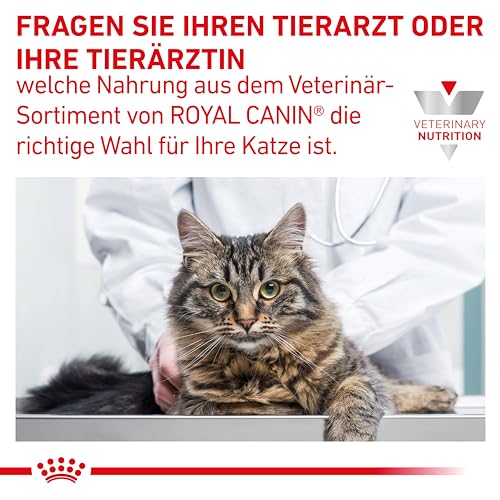 Royal Canin Veterinary Gastrointestinal Moderate Calorie | 4 kg | Trockenfutter für Katzen | Kann unterstützend bei gastrointestinalen Erkrankungen helfen | Hohe Akzeptanz
