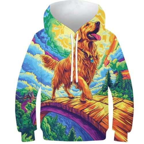 Sweat Labrador pour ado fini les pulls froids sweat 3D confortable 9-11Y