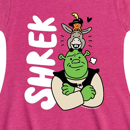 HYBRID APPAREL Shrek - Shrek Stacked Characters - Toddler & Youth Girls Fit & Flare Dress2