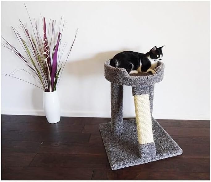 New Cat Condos Elevated Cat Bed with Toy and Scratcher