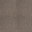 Weathered Wood