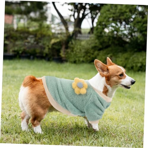 Vêtement pour chien veste imperméable contre le vent froid - 3