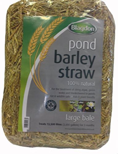 Natural Organic Barley Straw Bale For Ponds And Water