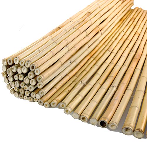 Sichtschutzm.Ontake natur 180x180cm