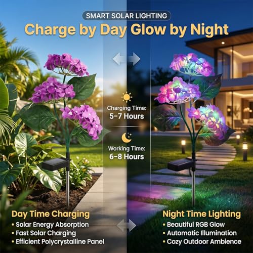 Image of hardoll Plastic Solar Decorative Light Hydrangea Flower Shaped RGB Color LED Lamp For Waterproof Outdoor Home Garden Yard(Lavender Color-Pack Of 1)