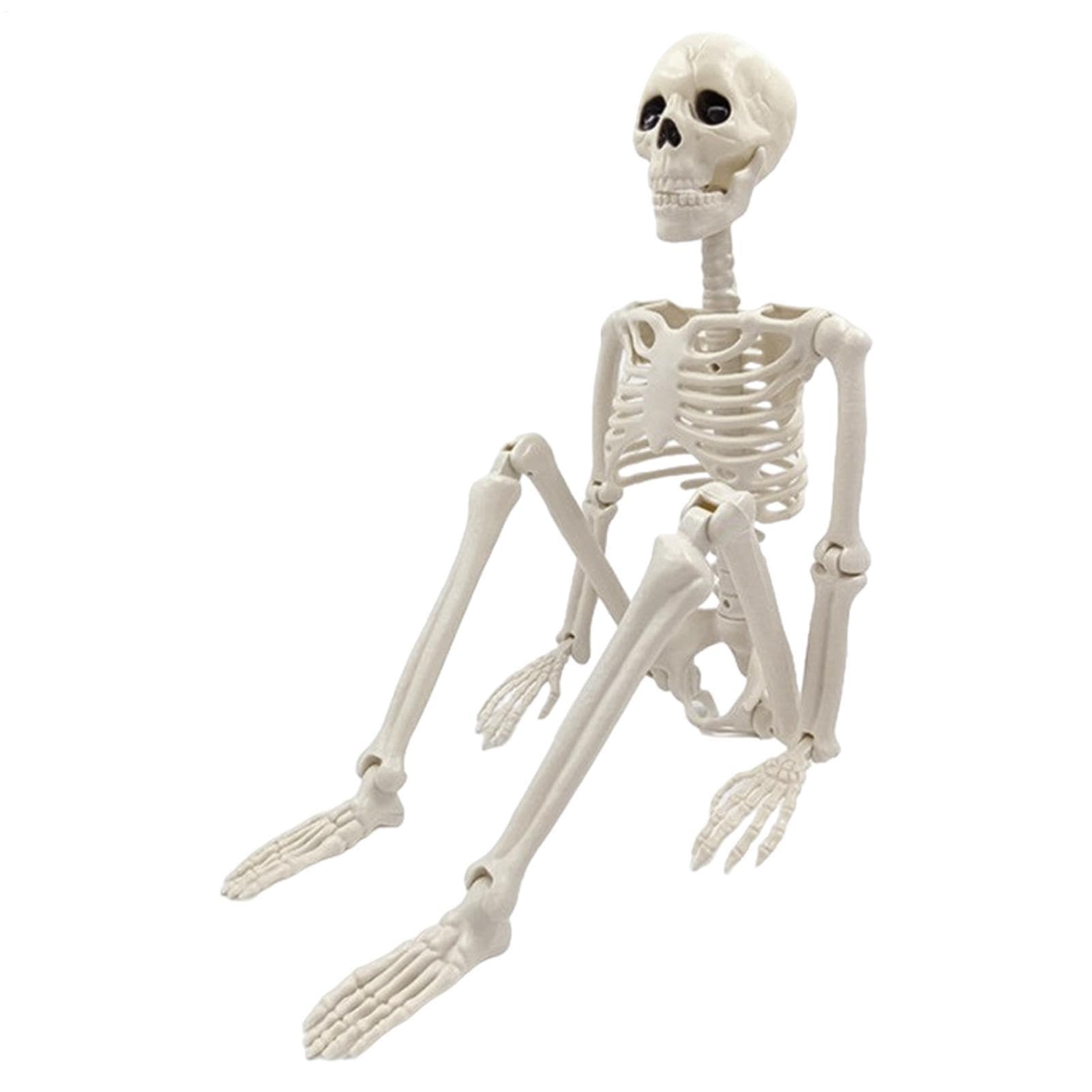 Générique Decorazioni Scheletro Halloween Ornamento osseo articolato