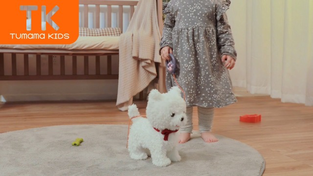 Amazon.com: TUMAMA Electronic Dog Toy Pet, Remote Control and