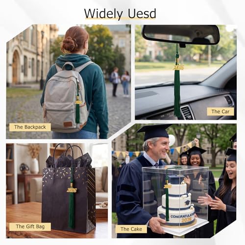 Image of GraduationMall Single&Multiple Color Graduation Tassel with 2026 Year Charm 9 inch