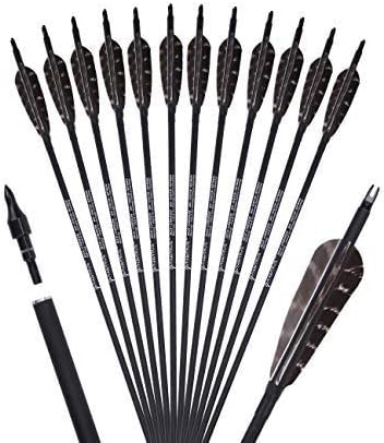 PANDARUS Archery 31-Inch Carbon Hunting Arrows, Turkey Feather Fletching with Replaceable Points, Targeting Practice Arrows Spine 500 for Recurve Bow, Longbow, Traditional Bow