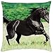 Negro semental árabe - Funda de cojín (18