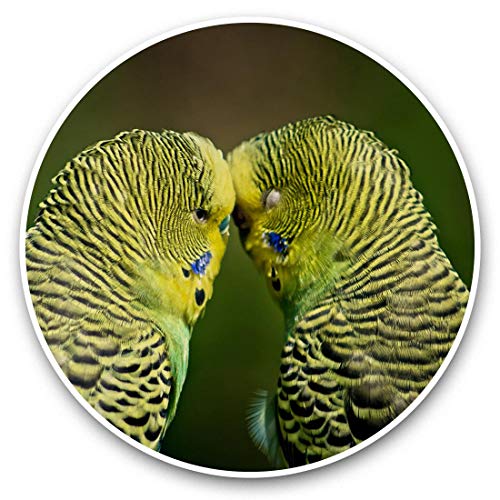 Image of Awesome Vinyl Stickers (Set of 2) 7.5cm - Green Yellow Budgie Pair Bird Fun Decals for Laptops,Tablets,Luggage,Scrap Booking,Fridges #45239