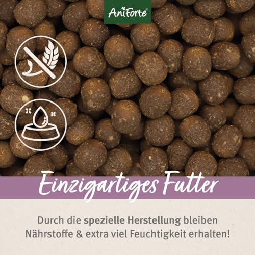 AniForte Ente Trockenfutter für Hunde 7kg – Leckere Ente mit Hirse, Süßkartoffeln & Kräutern, Vitamine für Hunde, Halbfeuchtes Trockenfutter, Hundefutter trocken glutenfrei für Allergiker