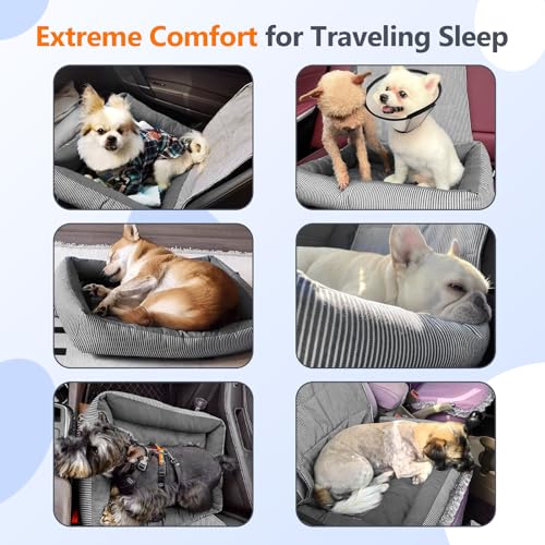 Tapizado Hundeautositze für kleine Hunde, abnehmbarer Hundesitz mit weichem Baumwollkissen, Komfort-Haustier-Reisebett, Welpenautositz mit verstellbaren sicheren Gurten, unter 11,3 kg, Schwarz
