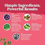 Extra Strength Saw Palmetto for Women 500mg - DHT Blocker for Women 30-Day Supply - Hair Vitamins for Hair Loss Supplement - Pure Saw Palmetto Extract Capsules with Maca Root & Biotin - 90 Capsules - Image 5