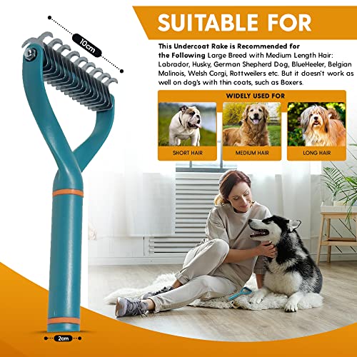 Confezione da 2 pezzi Spazzola per Cani, Spazzola